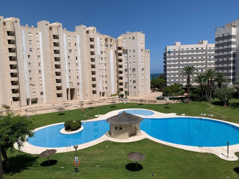 Apartamento - Playa El Campello Urbanizacion Jardin Del Mar ภายนอก รูปภาพ